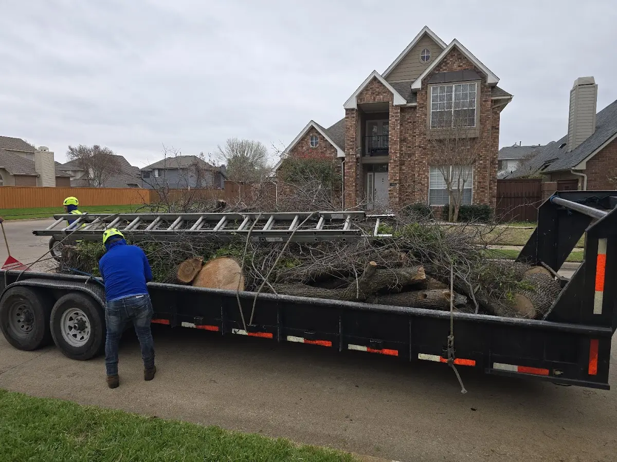 Expert Tree Pest Control with proper safety equipment in Kincheloe